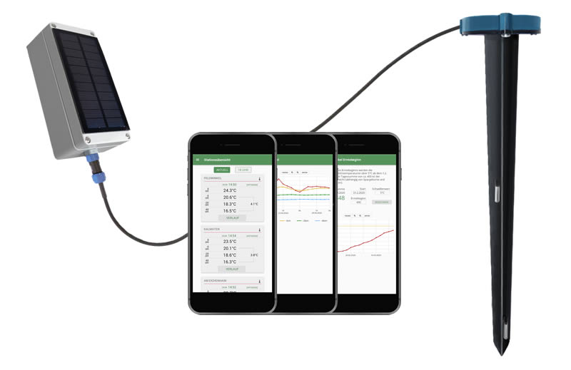 Spargelthermometer fruitweb AS mit App