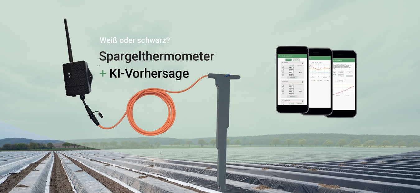 Spargelthermometer und KI-Vorhersage